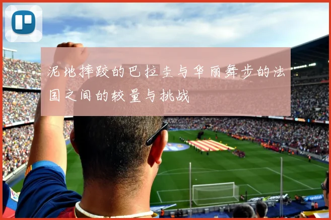 泥地摔跤的巴拉圭与华丽舞步的法国之间的较量与挑战